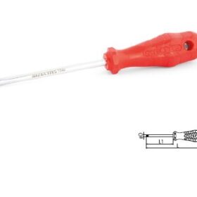 İZELTAŞ DELİKLİ TORX UÇ TORNAVİDA TR10